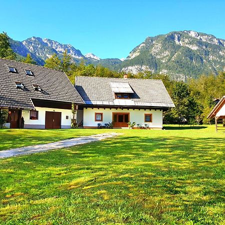 Apartmaji Zupanc Ivanka Bohinj Dış mekan fotoğraf